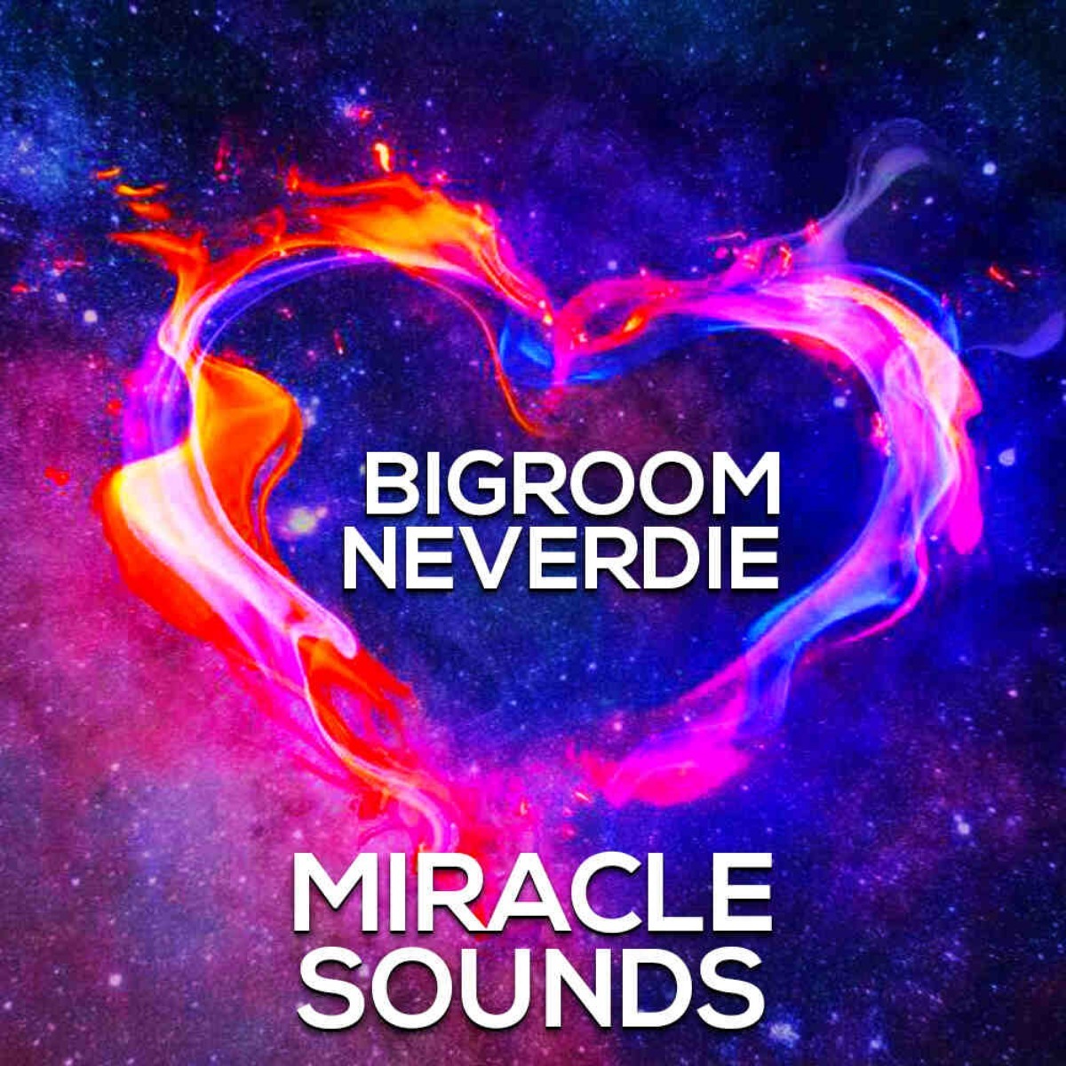 BIGROOM NEVERDIE